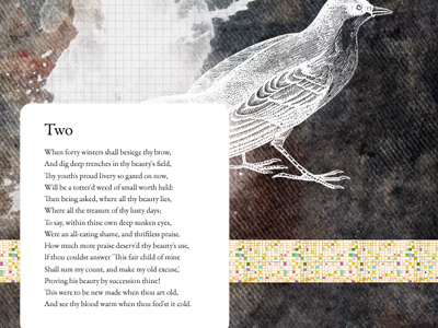 Sonnet Two bird desktop sonnets