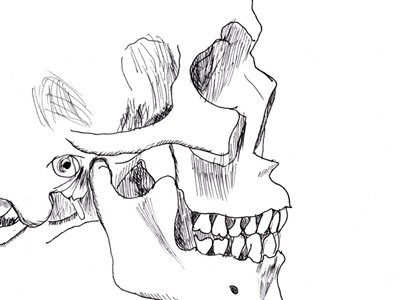 Skully anatomy drawing ink