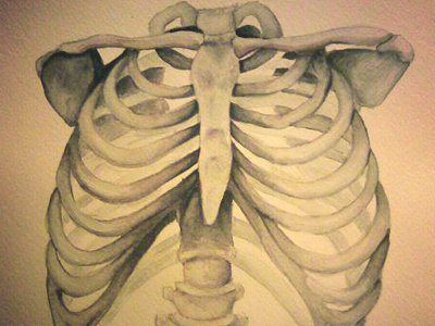 Skeleton illustration painting watercolor