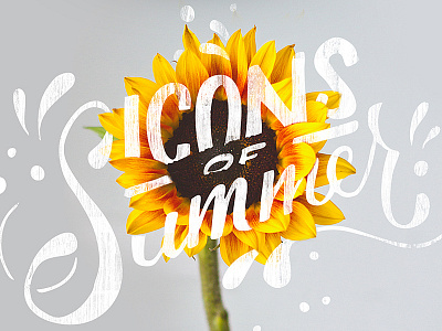 Icons of Summer - Vol. 1 hand rendered icons lettering music summer sunflower type typography