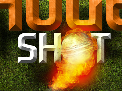 Shot cricket shot