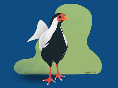 It's a bird. 🐓 apple avian bird birds chicken cluck corona covıd19 digital art gal shir illustration illustrator ipad ipad4 procreate