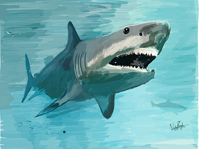 Great Megalodon Shark adobe beginner draw fish giant ipad megalodon paint shark sketch
