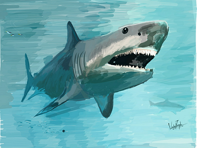 Great Megalodon Shark