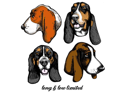 Just “face” it...bassets are adorable design dog drawing illustration logo original art pen and ink puppy