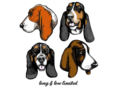 Just “face” it...bassets are adorable