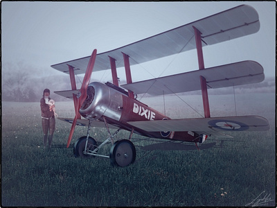 DIXIE sopwith triplane