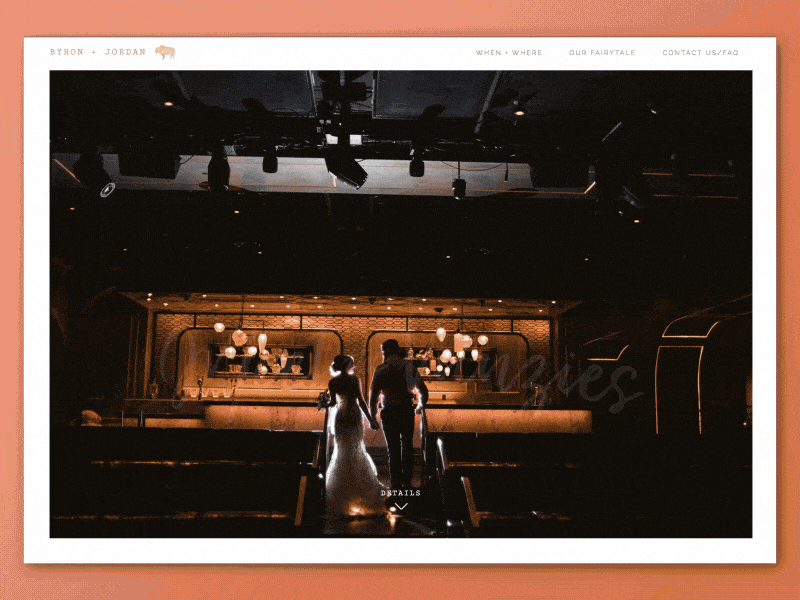 Meet The Vanzies (Wedding Website) — LIVE buffalo flat minimal one page onepage scroll ui web design webdesign website wedding