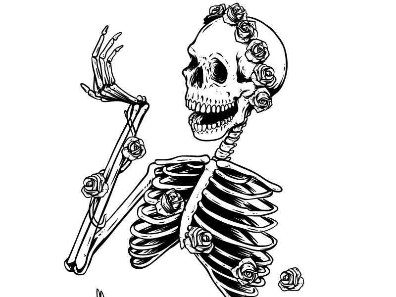 скелет академический. скелет аполлона. кости скелета анатомия. человеческий скелет. мегалограпт скелет.