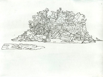 Island drawing fiji illustration ink island