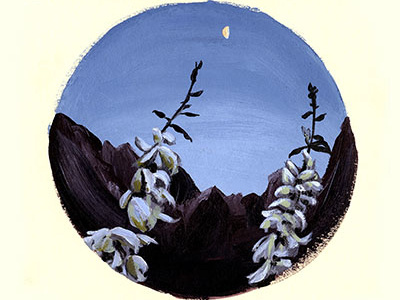 Zion Yucca acrylic illustration landscape zion