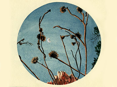 Zion Dawn illustration watercolor zion lanscape
