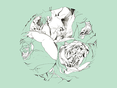 Green digital drawing floral flowers green illustration ink peonies photoshop