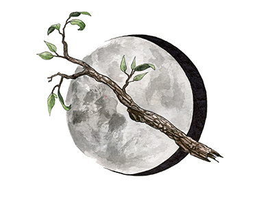 Moonbranch branch illustration moon nature tree watercolor