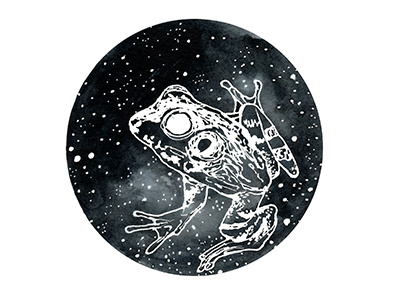 Nightsky Frog circle design frog gouache illustration nature night sky space stars watercolor wildlife