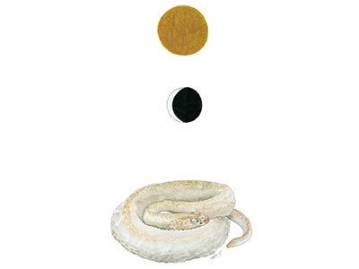 Serpent Day 1 illustration watercolor drawing myth symbols sun moon snake serpent crescent