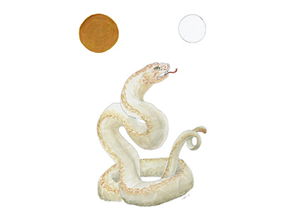 Serpent Day 15 illustration watercolor myth sun moon snake serpent symbol