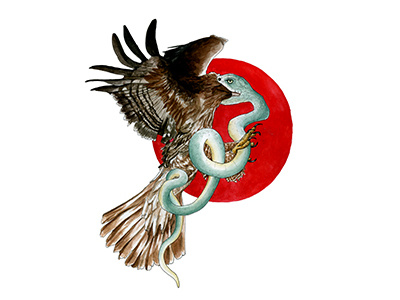 Hawk Snake bird hawk mysticism mythology nature serpent snake symbolic symbolism