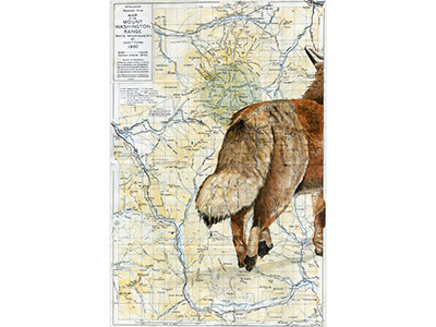 Fox adventure animals fox map nature parks travel watercolor wildlife