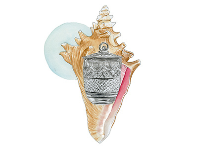Ace Of Cups ace cards conch crystal cups deck glass nature shell tarot water watercolor