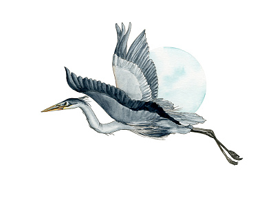 Heron