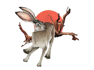 The Hare animals deadwood driftwood hare illustration nature painting rabbit red sun tortoise watercolor