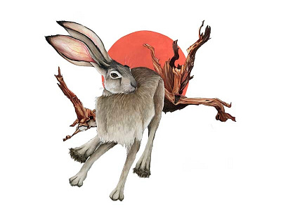 The Hare