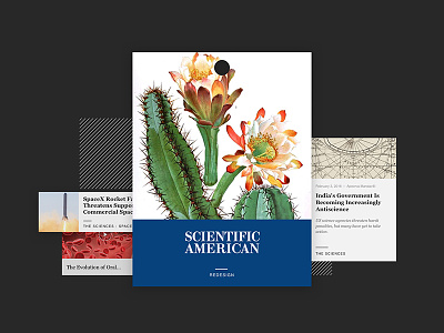 Concept - Scientific American Redesign card code design science ui