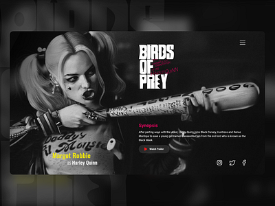 Birds of Prey | Landing Page Concept