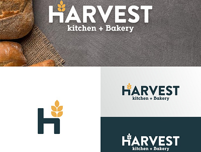 harvest bakery logo app bakery bellevile branding design learning logo logo design modern simple vector