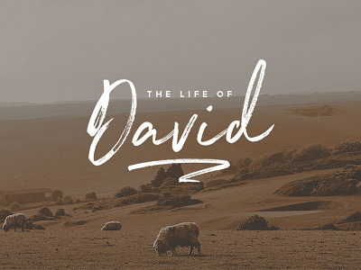 The Life of David brown church david logo photoshop sermon typography