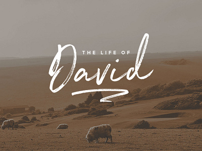 The Life of David