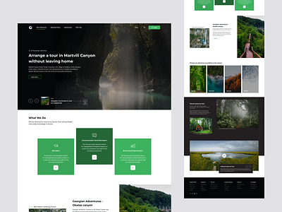 National Park Presentation 2x design national park nature park ui ui ux web website concept website design