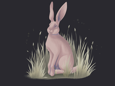 Rabbit animal animalistic illustration digital illustration digitalart illustration rabbit