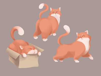 Ginger cat illustration