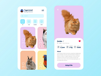 Pet Adoption App adoption app design idea inspiration interface mobile pet ui ux visual web
