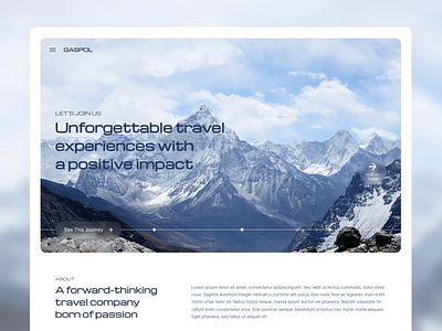 Tour & Travel Website - Header Exploration