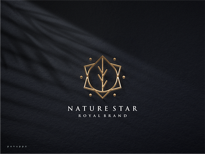 Nature Star Logo brand design brand mark branding design illustration lineart logo logo logo maker logodesign logomaker modern logo monoline logo nature logo nature star logo sale logo top logo ui vector