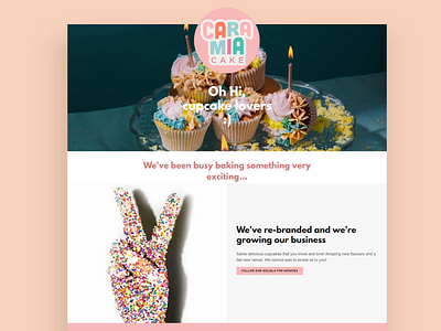 Landing Page // Cupcake Baker // Go Daddy design graphic design landing page