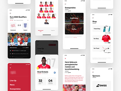 Football Federation App - Overview