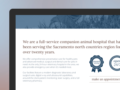 Northpointe Veterinary Website graphic design grid layout spread typography web design website