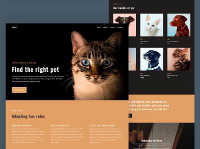Animal Shelter Website Design animals design minimal ui ux web webdesign