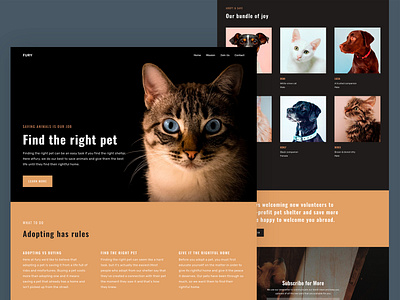 Animal Shelter Website Design