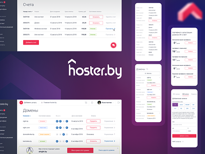 Hoster.by | Personal account interface account design interface management personal account ui user interface ux uxui