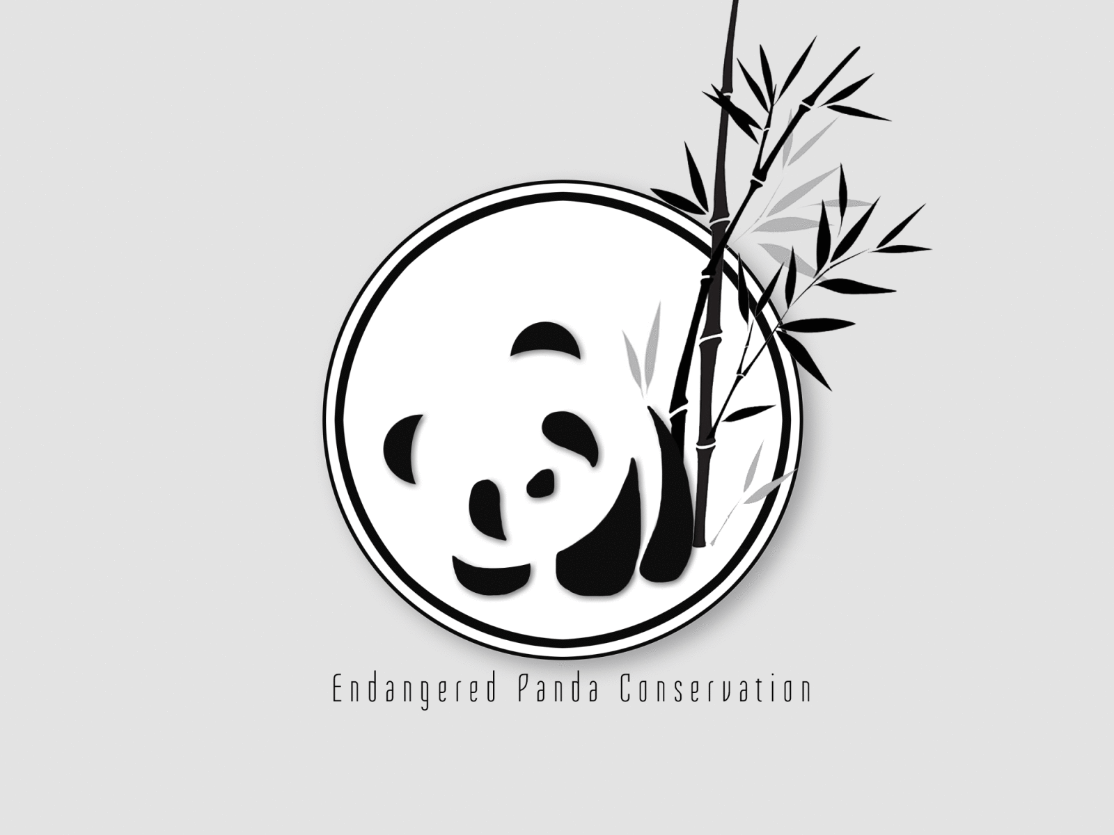 Day 03 dailylogo dailylogochallenge design illustration logo panda vector