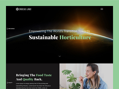 CR Labs agriculture agro design green greenhouse horticulture lighting organic food ui ux web