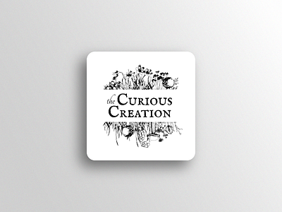 The Curious Creation