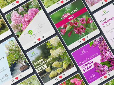 Social Media Marketing banners design bush design facebook flowers instagram seedling nursery seedlings smm web webdesign
