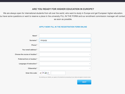 Application form apply clean flat form web