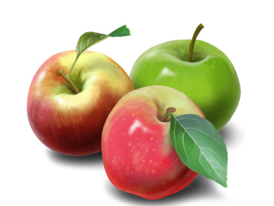 apples illustration photoshop